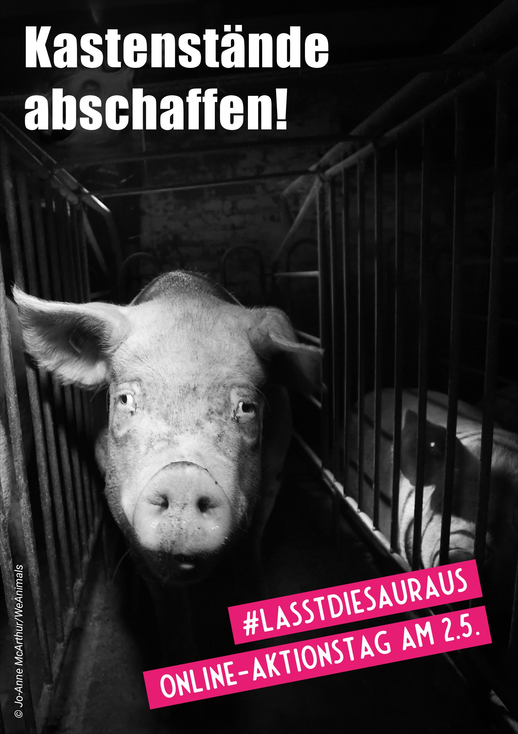 Flyer zum Online Aktionstag „Anti Kastenstand“