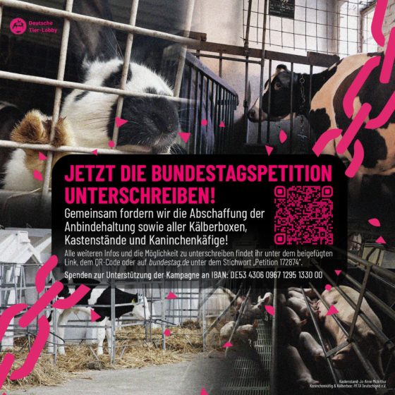 Bundestagspetition der Deutschen Tierlobby gegen die Anbindehaltung der Rinder